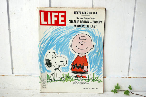 LIFE 1967年charlie brown and snoopyアメリカ-
